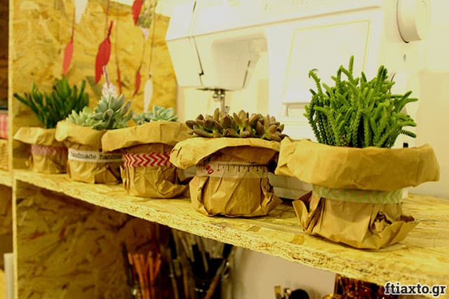 succulents-5