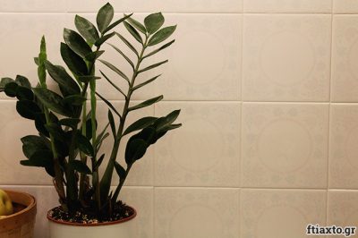 DIY ανανέωση κουζίνας: πώς να βάψεις τα πλακάκια