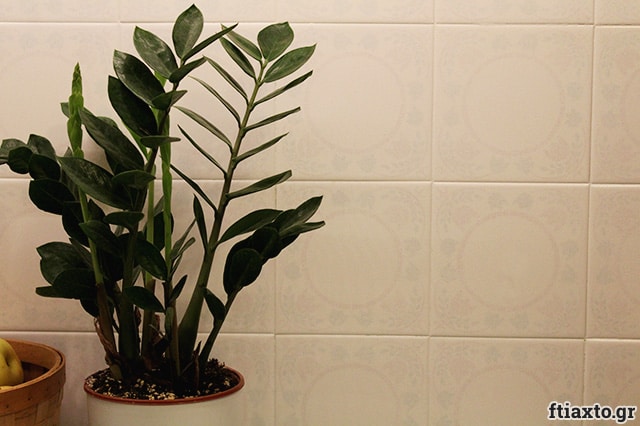 DIY ανανέωση κουζίνας: πώς να βάψεις τα πλακάκια